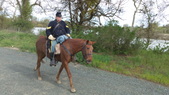 Enlarge photo 18