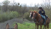 Enlarge photo 25