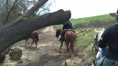 Enlarge photo 39