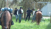 Enlarge photo 28