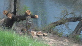 Enlarge photo 41