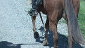 Enlarge photo 33
