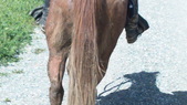 Enlarge photo 34