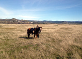 Enlarge photo 7