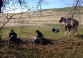 Enlarge photo 11