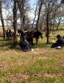 Enlarge photo 13