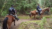 Enlarge photo 1