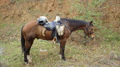 Enlarge photo 13
