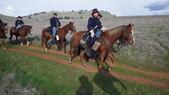 Enlarge photo 20