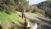 Enlarge photo 23