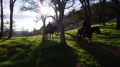 Enlarge photo 25
