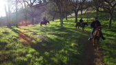 Enlarge photo 26