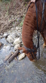 Enlarge photo 28