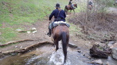 Enlarge photo 31
