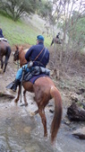 Enlarge photo 32