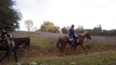 Enlarge photo 33