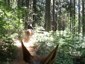 Enlarge photo 17