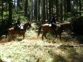 Enlarge photo 18