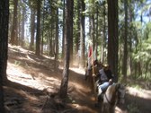 Enlarge photo 19