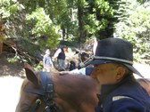 Enlarge photo 24