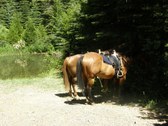 Enlarge photo 28