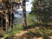 Enlarge photo 46
