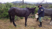 Enlarge photo 33