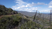 Enlarge photo 40
