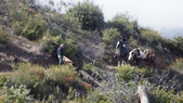 Enlarge photo 41