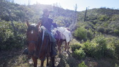Enlarge photo 42