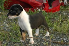 Enlarge photo 60