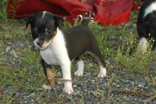Enlarge photo 59