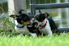 Enlarge photo 94