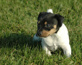 Enlarge photo 144