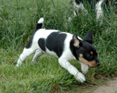Enlarge photo 44