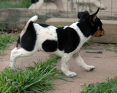 Enlarge photo 43
