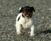Enlarge photo 66