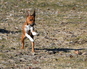 Enlarge photo 99