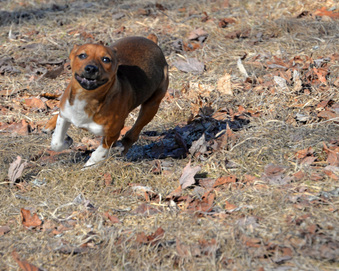 Enlarge photo 111