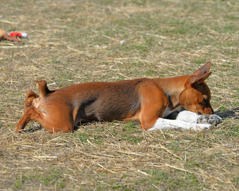 Enlarge photo 48