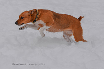 Enlarge photo 307