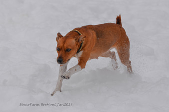Enlarge photo 304