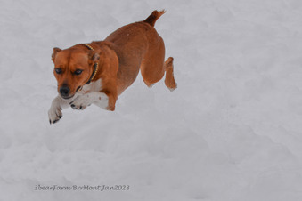 Enlarge photo 301