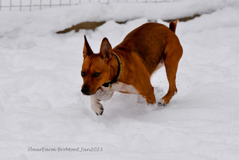 Enlarge photo 296