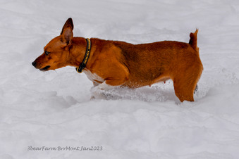 Enlarge photo 293