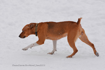 Enlarge photo 290
