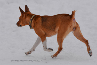 Enlarge photo 289
