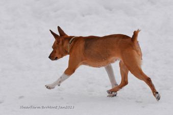 Enlarge photo 288