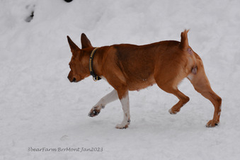 Enlarge photo 287