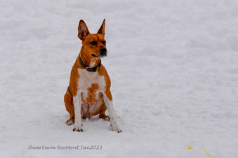 Enlarge photo 282